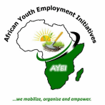 AFRICAN YOUTH EMPLOYMENT INITIATIVES-AYEI